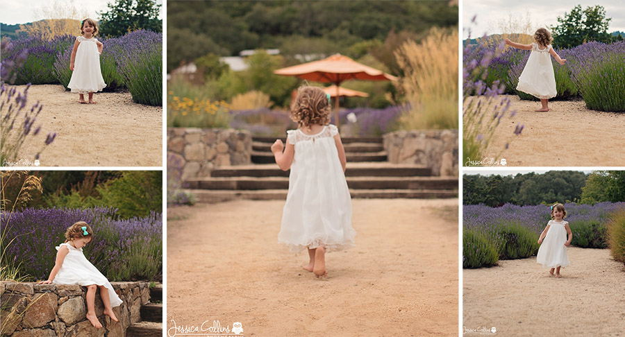 Lavender Field Photography with children in Sonoma County California