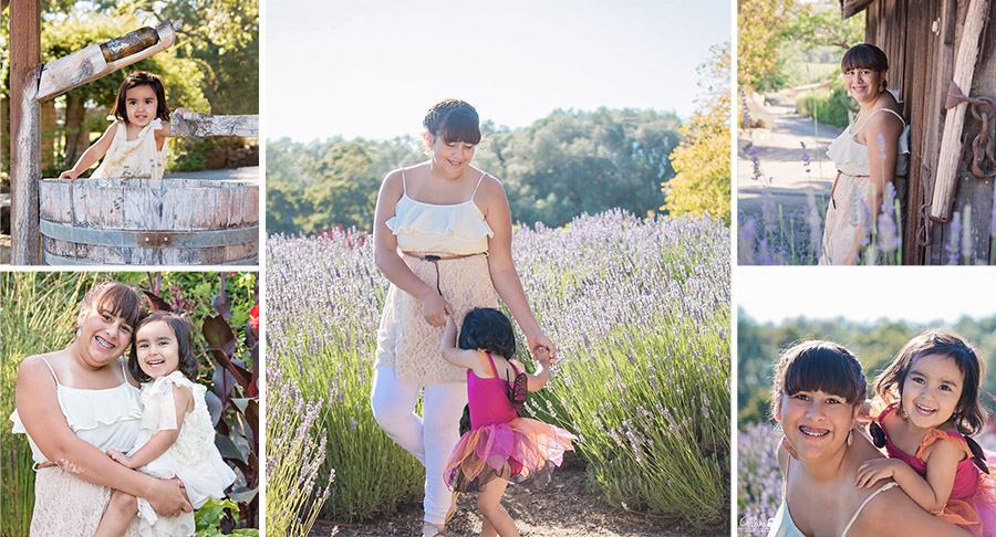 Lavender field Photo sessions by Sonoma County California Photographer